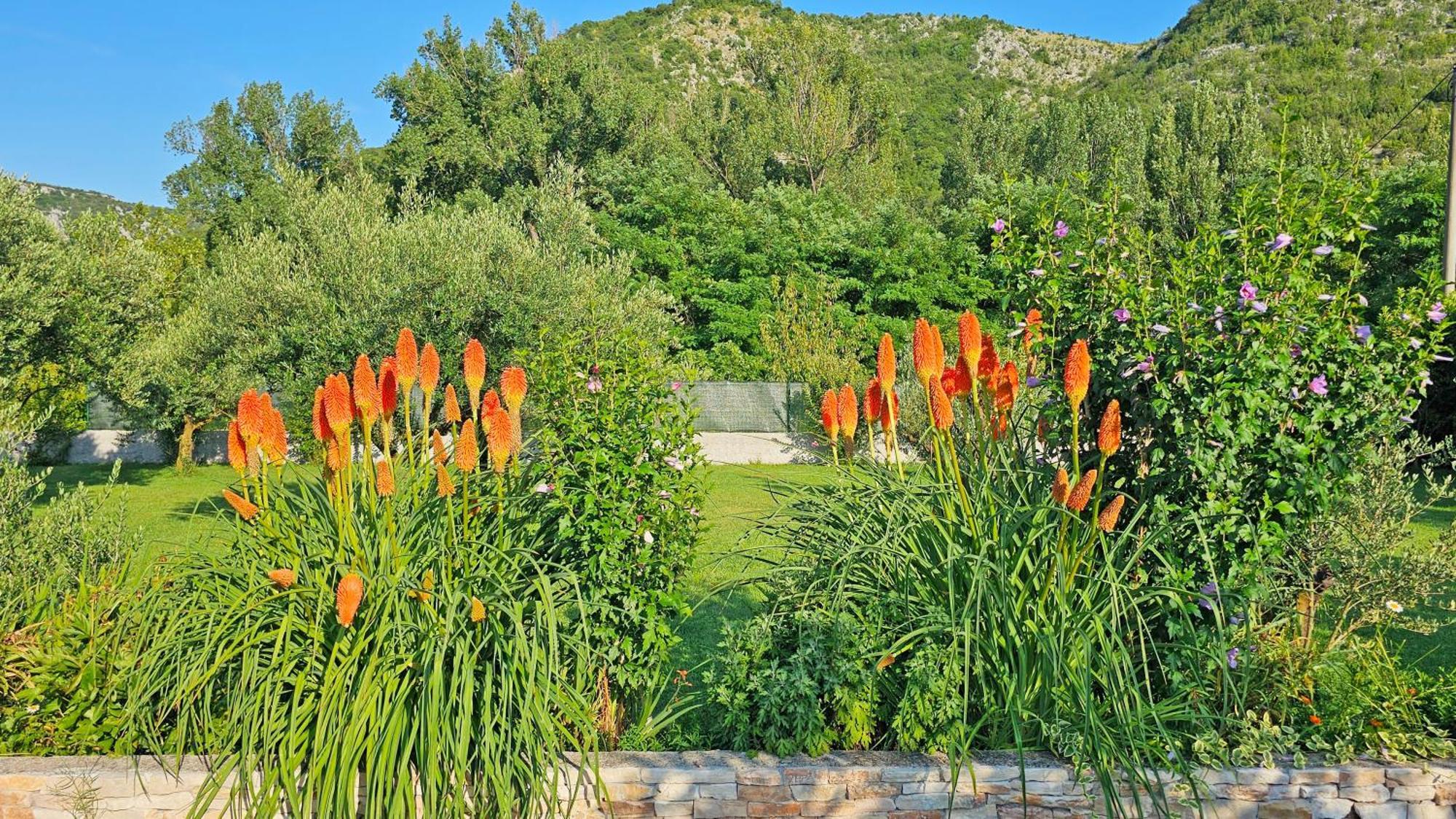 Holiday Home Natura With Private Pool Мостар Екстер'єр фото